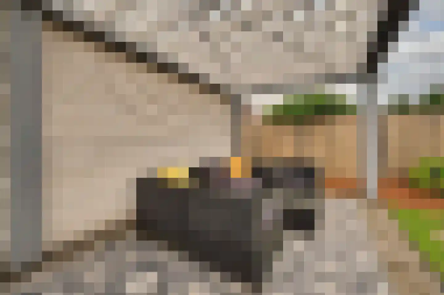 Ereprijs 12 Vlijmen thumbnail 34