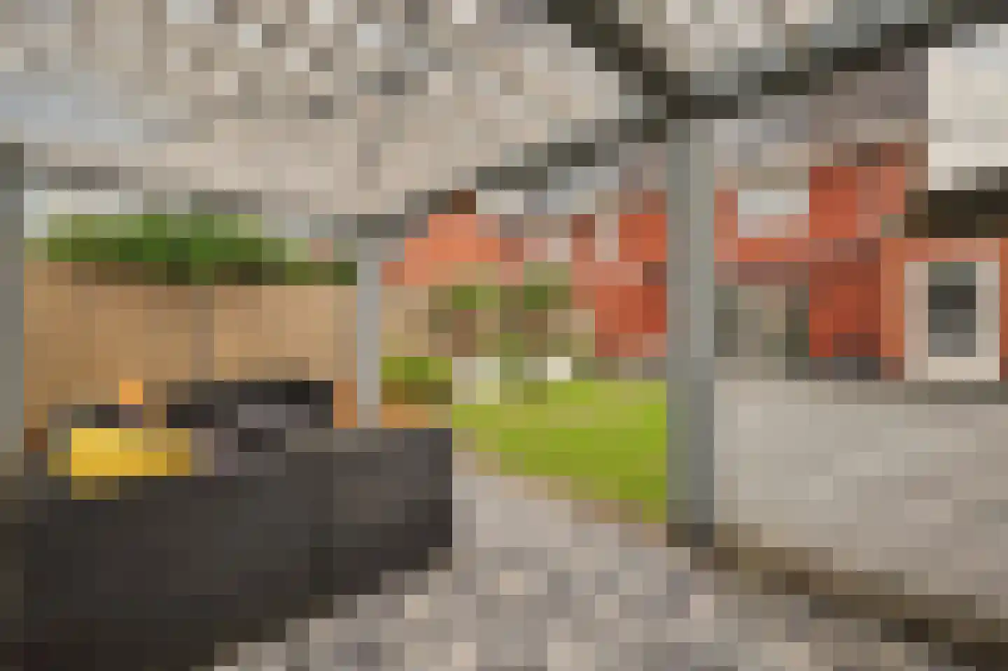 Ereprijs 12 Vlijmen thumbnail 35