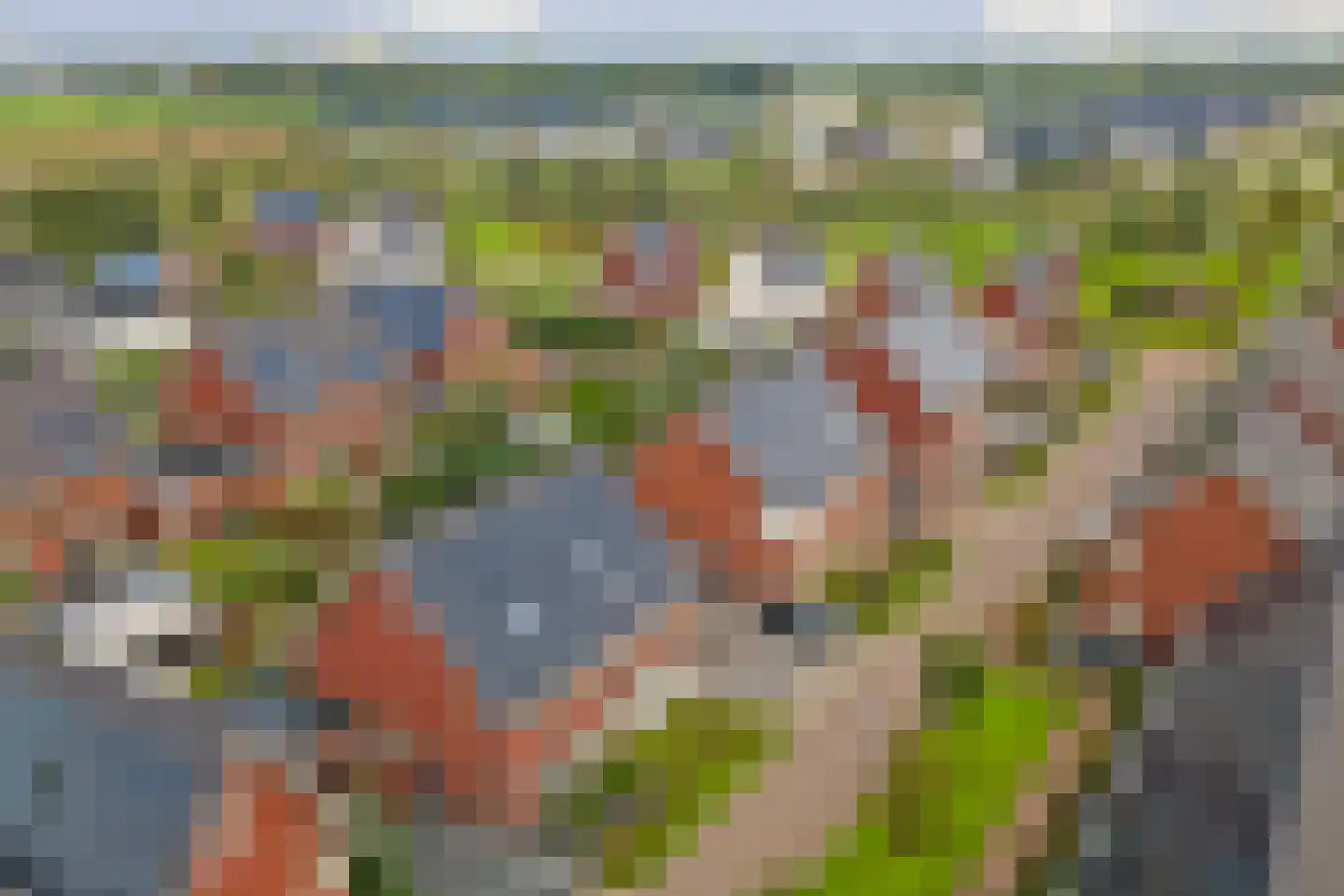 Ereprijs 12 Vlijmen thumbnail 45