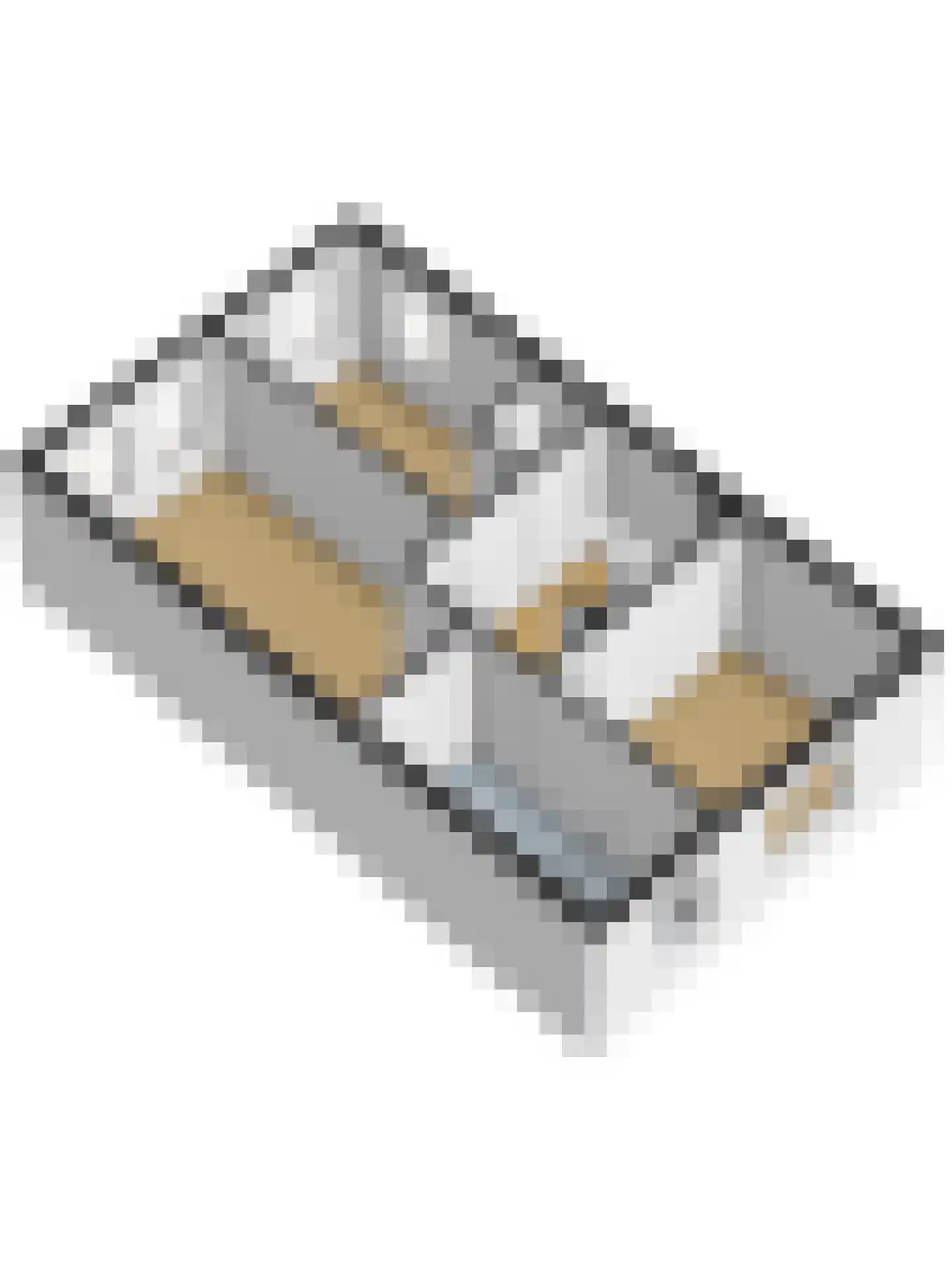 Ereprijs 12 Vlijmen thumbnail 50