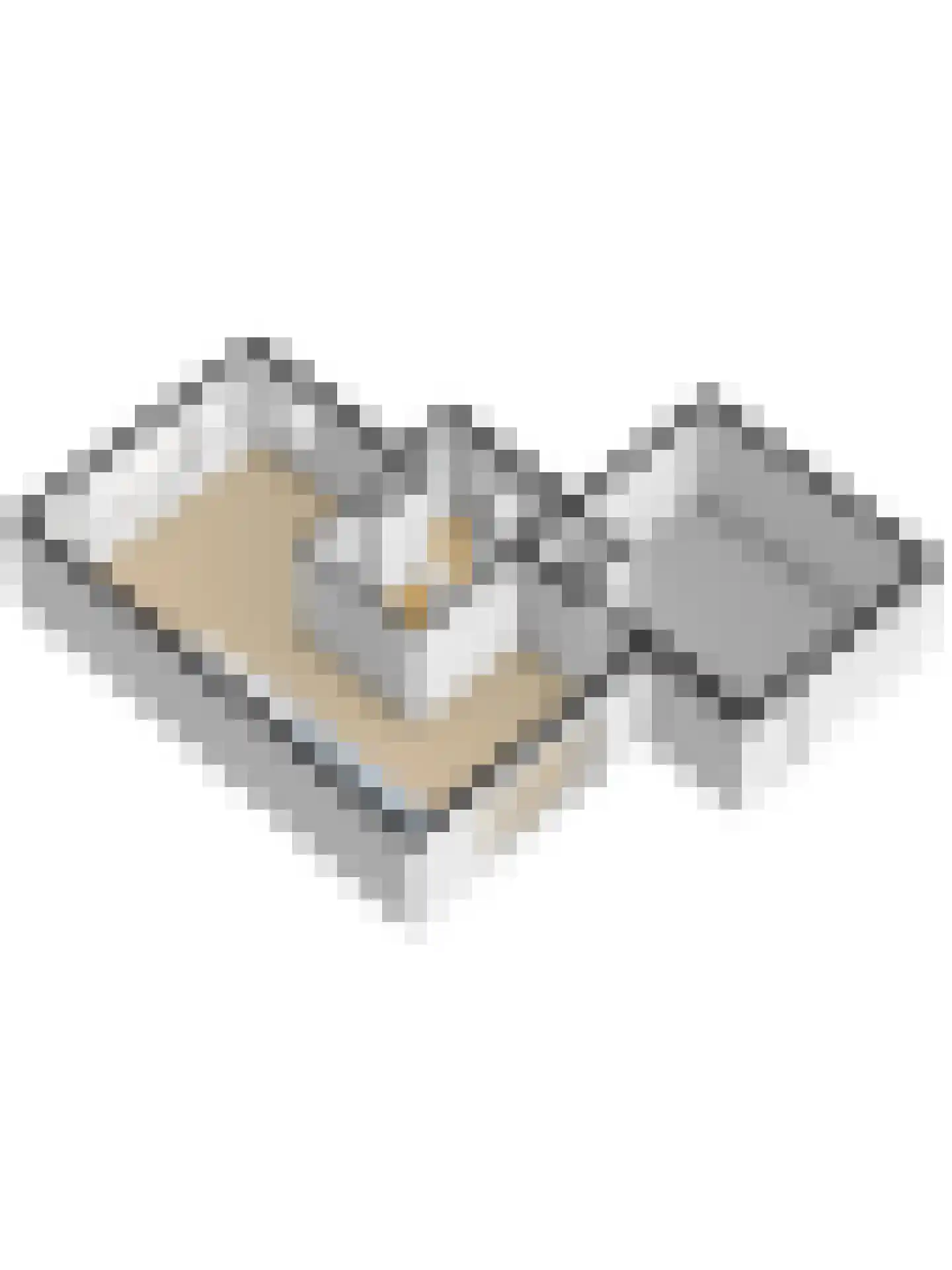 Ereprijs 12 Vlijmen thumbnail 51