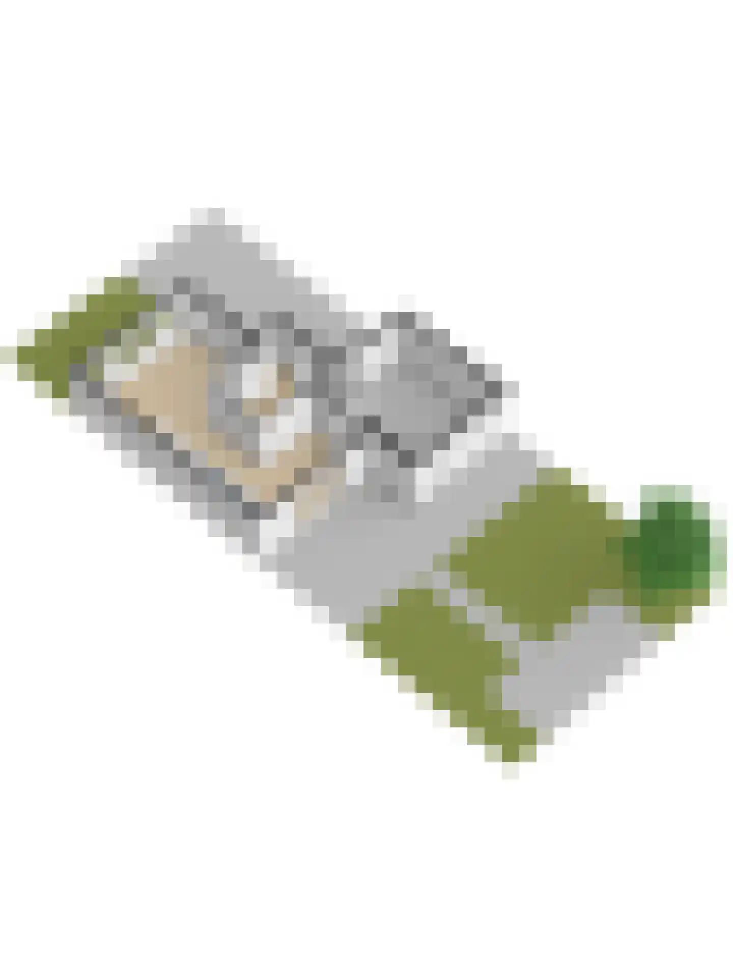 Ereprijs 12 Vlijmen thumbnail 52