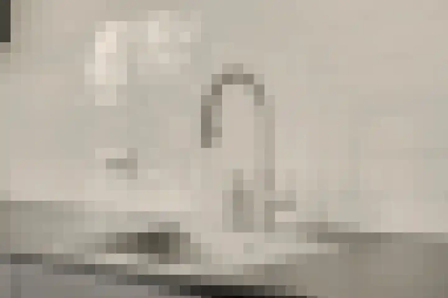 Ereprijs 12 Vlijmen thumbnail 9