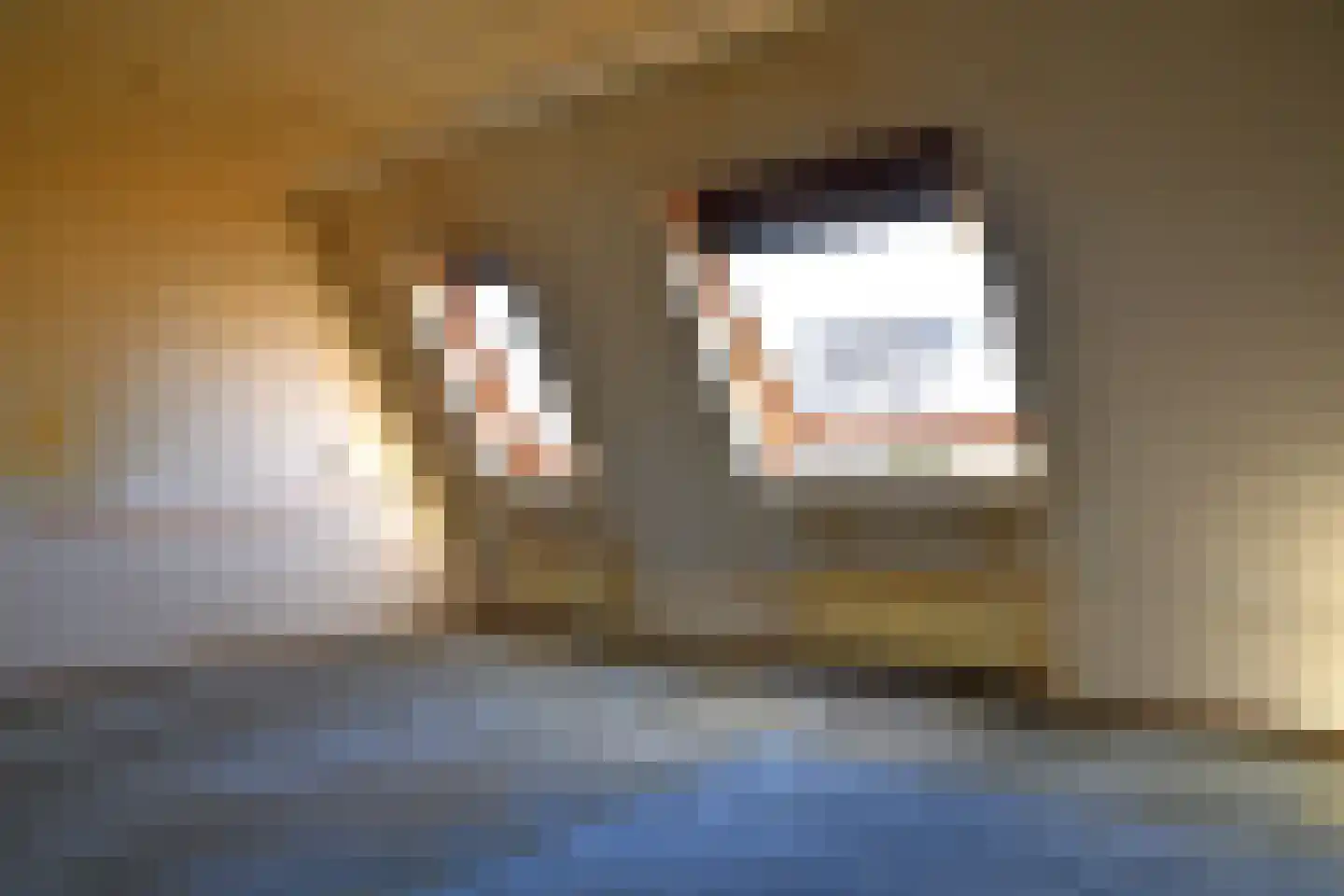Ereprijs 13 Roden thumbnail 18