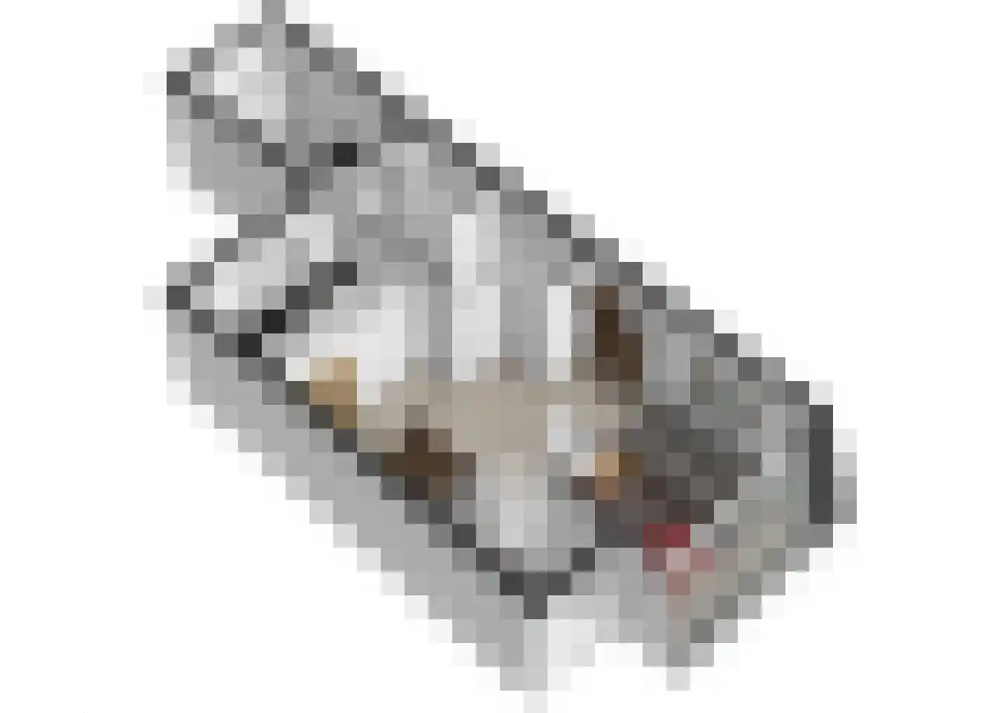 Ereprijs 13 Roden thumbnail 29