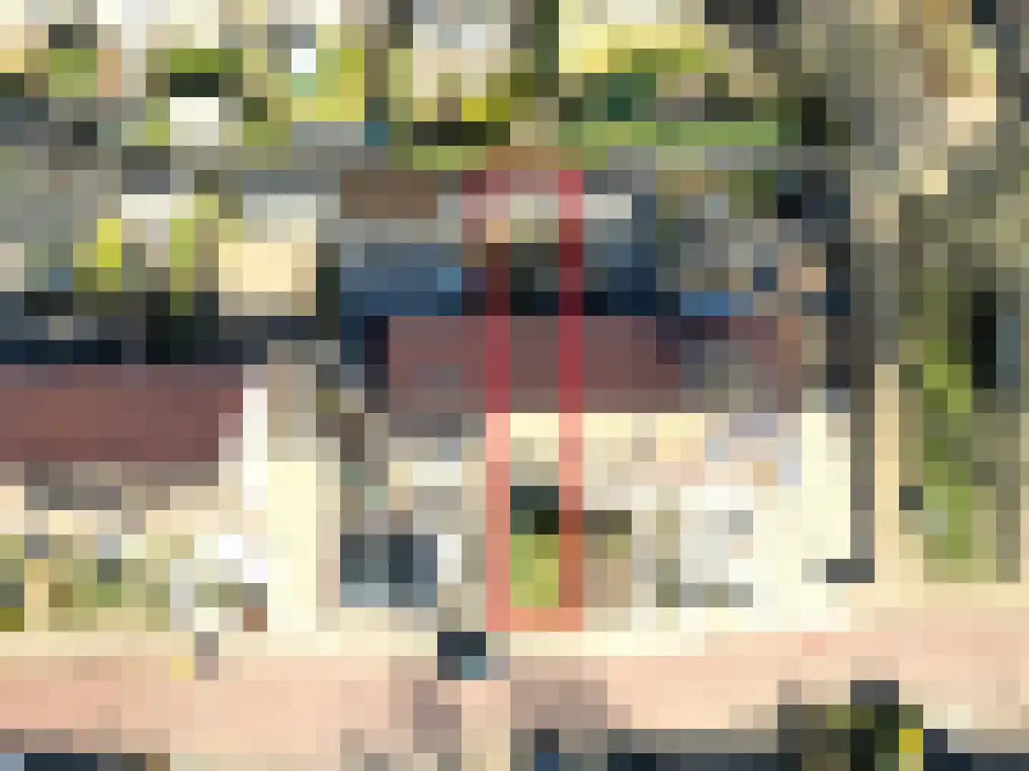 Ereprijs 13 Roden thumbnail 31