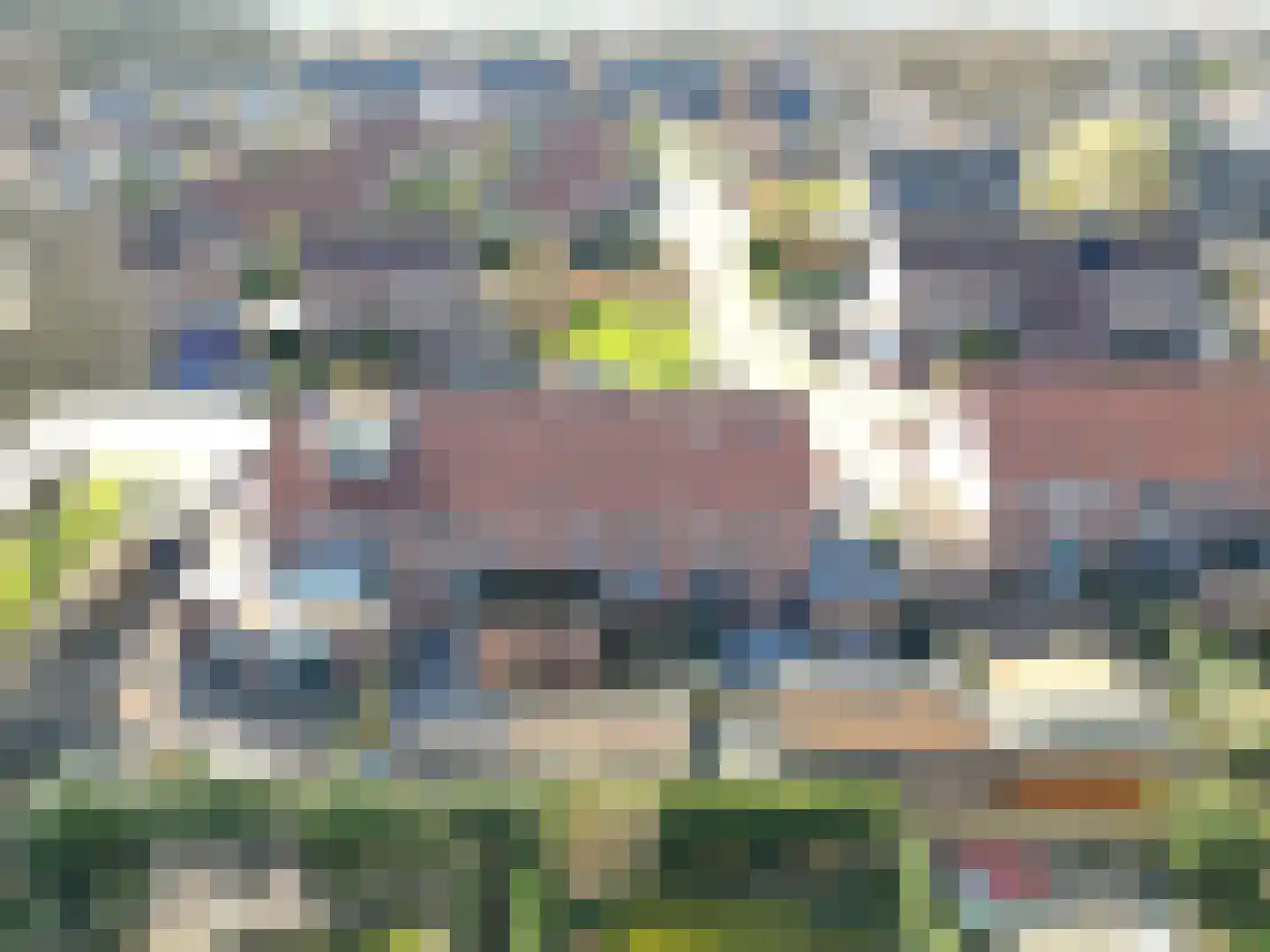 Ereprijs 13 Roden thumbnail 32