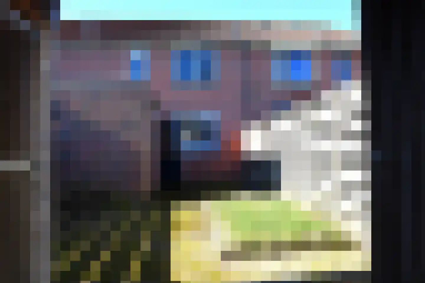 Ereprijs 13 Roden thumbnail 33