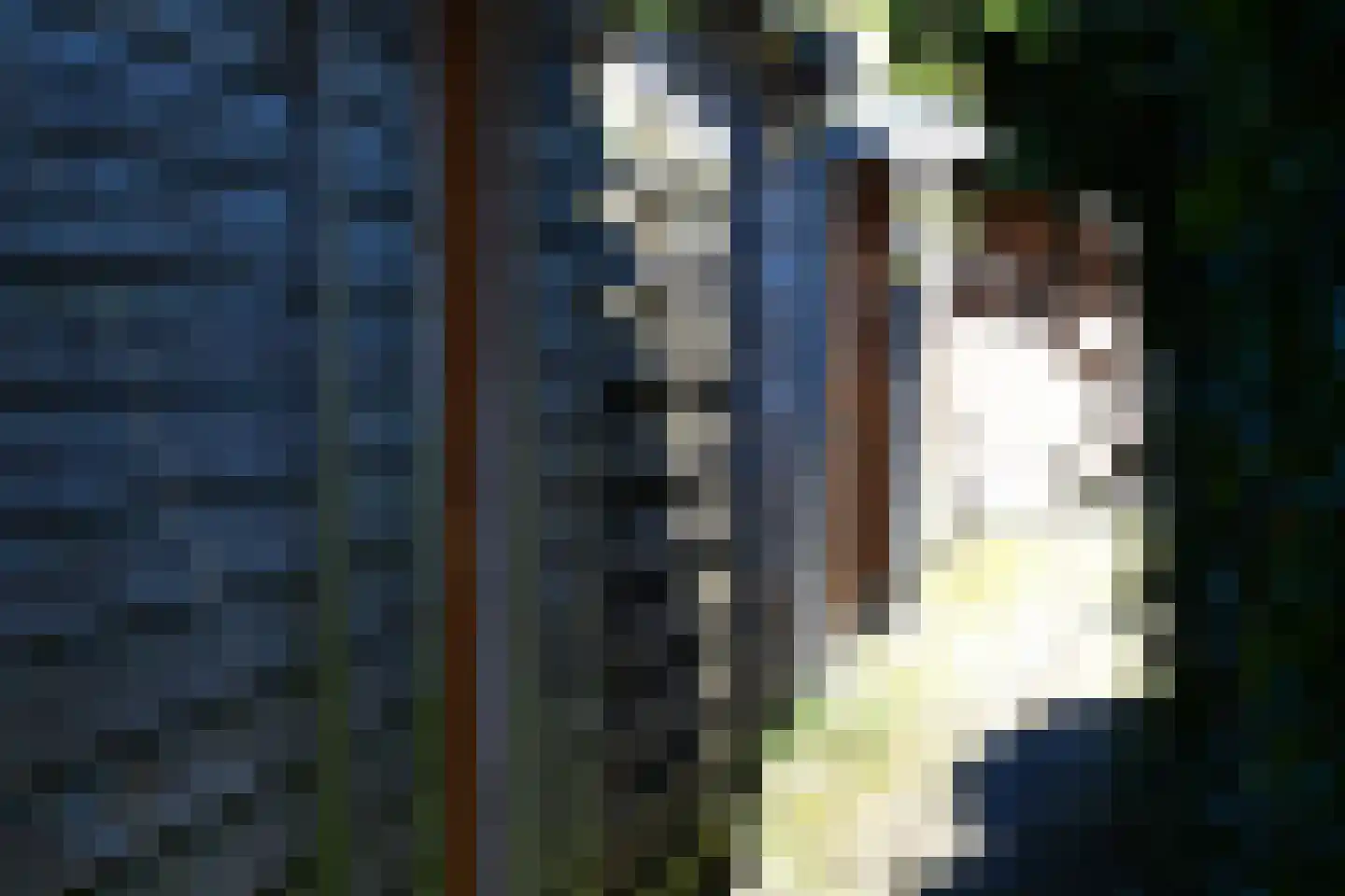 Ereprijs 13 Roden thumbnail 35