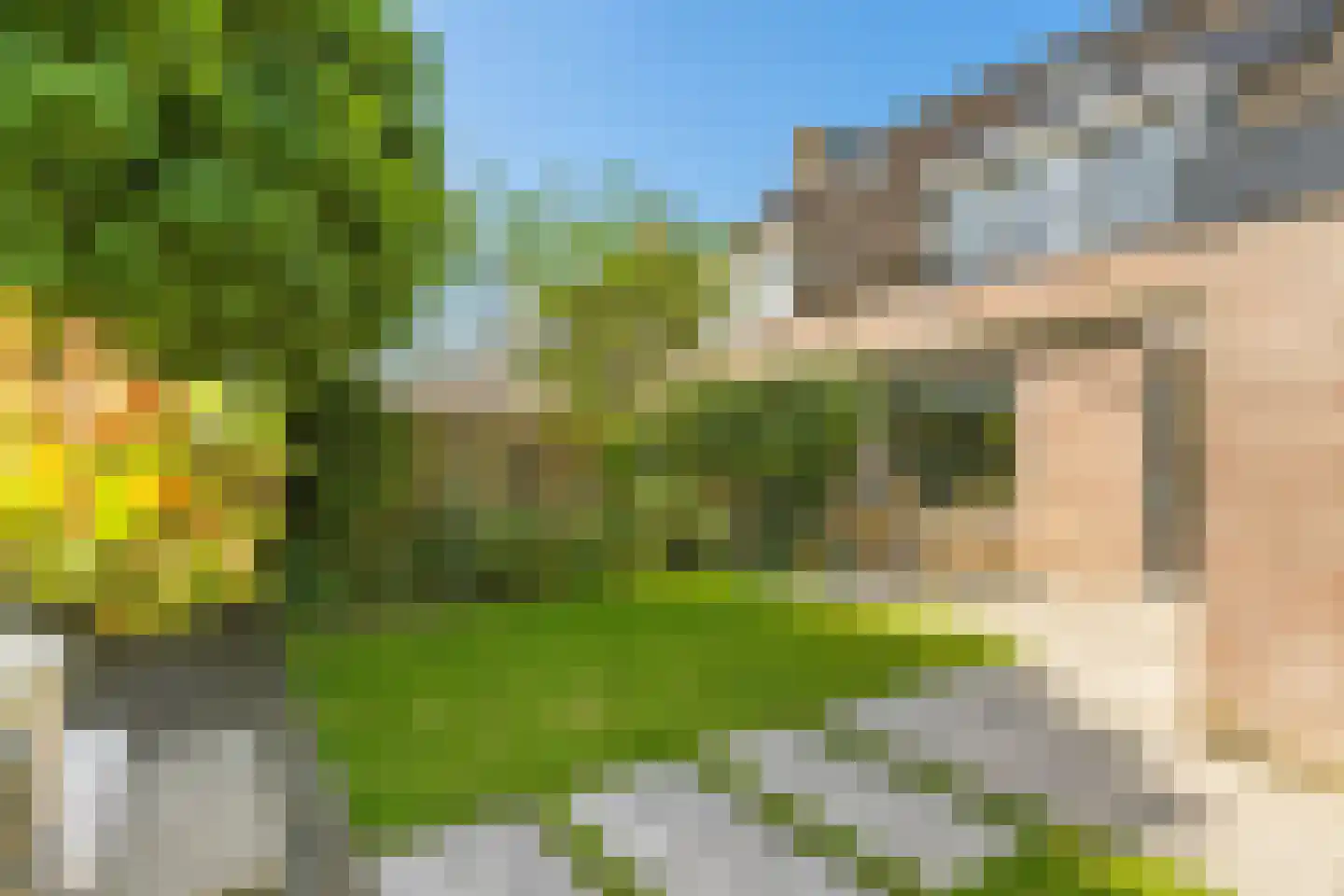 Ereprijs 13 Sprang-Capelle thumbnail 35