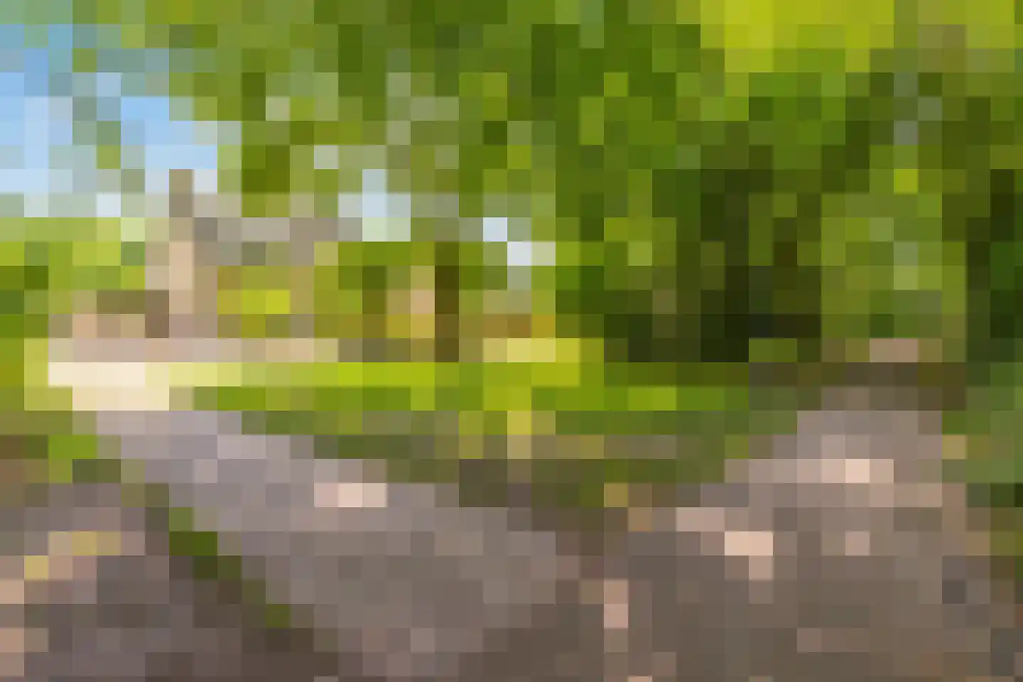 Ereprijs 13 Sprang-Capelle thumbnail 41