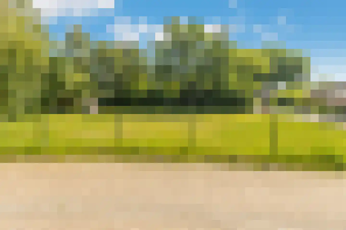Ereprijs 13 Sprang-Capelle thumbnail 42
