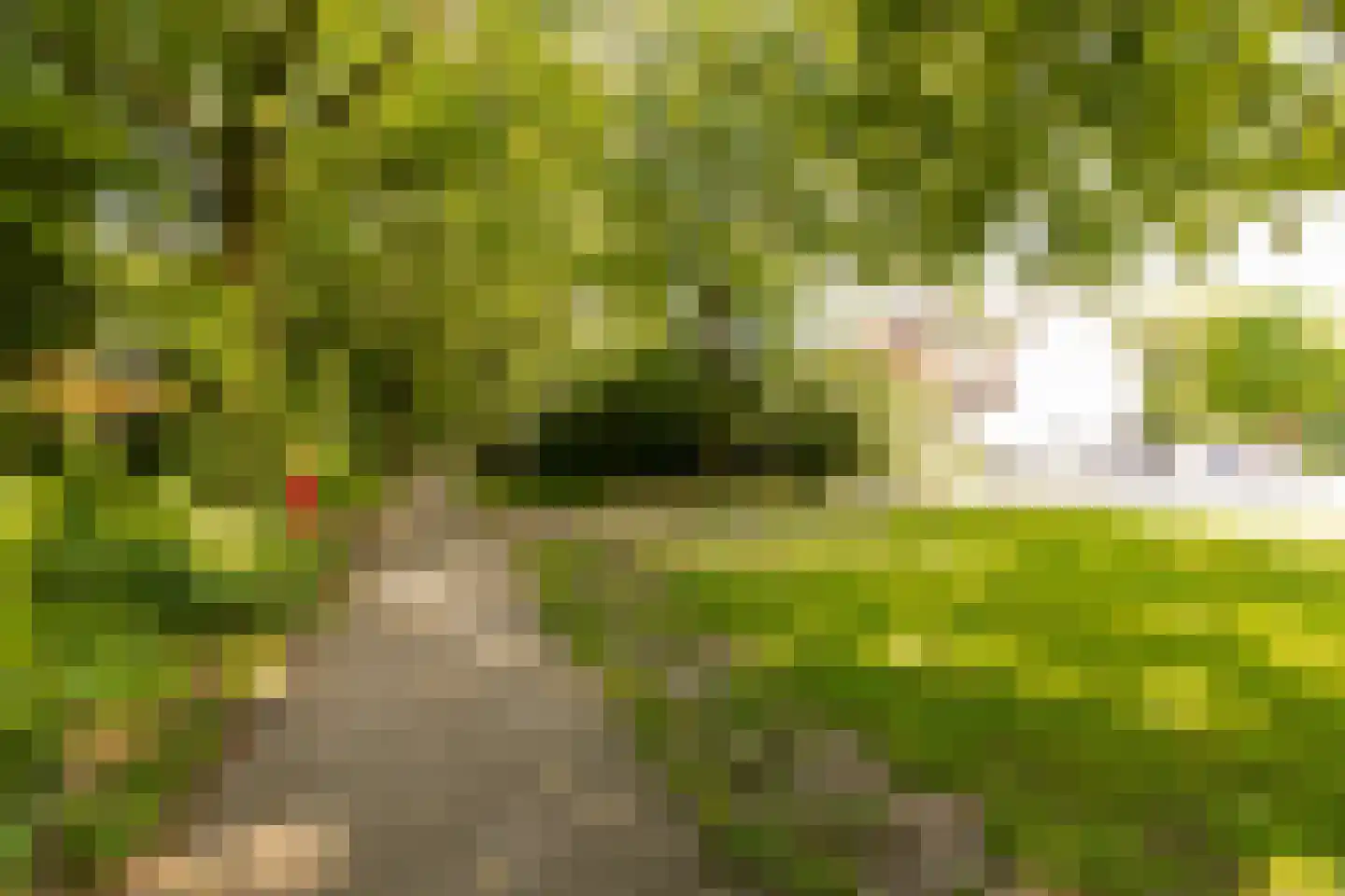 Ereprijs 13 Sprang-Capelle thumbnail 43