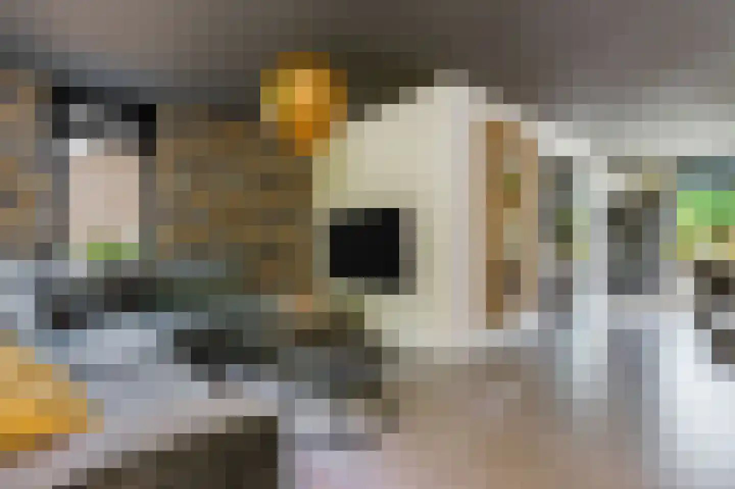 Ereprijs 13 Sprang-Capelle thumbnail 8