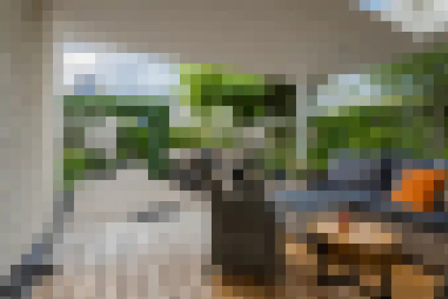 Ereprijs 14 Barneveld thumbnail 42