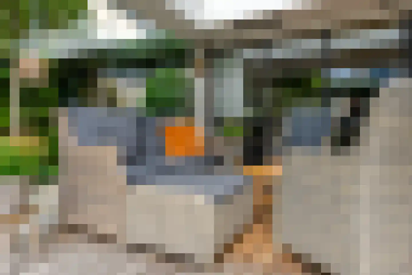 Ereprijs 14 Barneveld thumbnail 44
