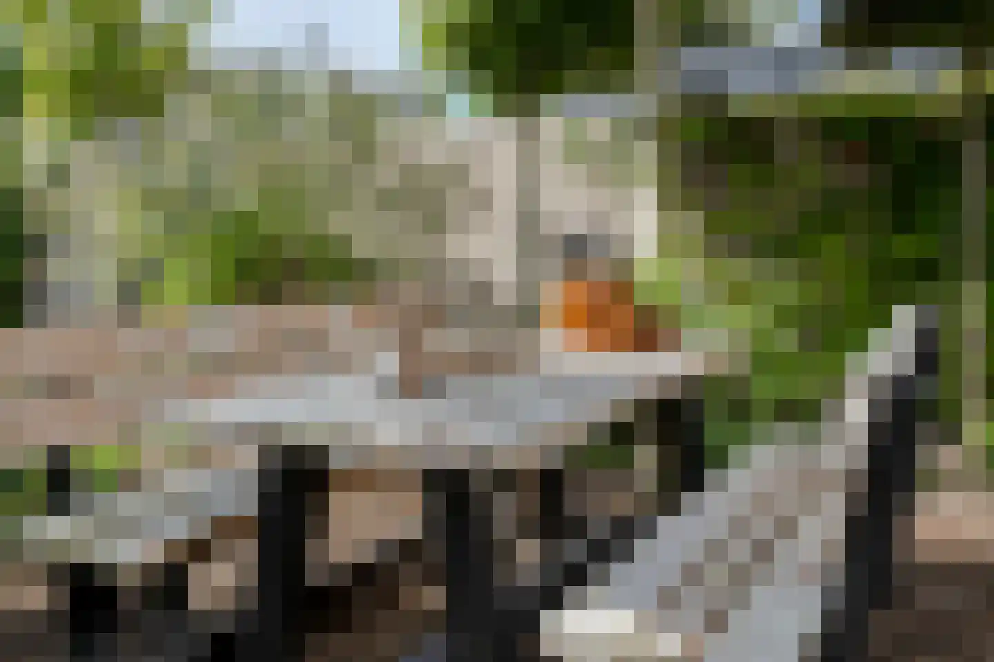 Ereprijs 14 Barneveld thumbnail 49