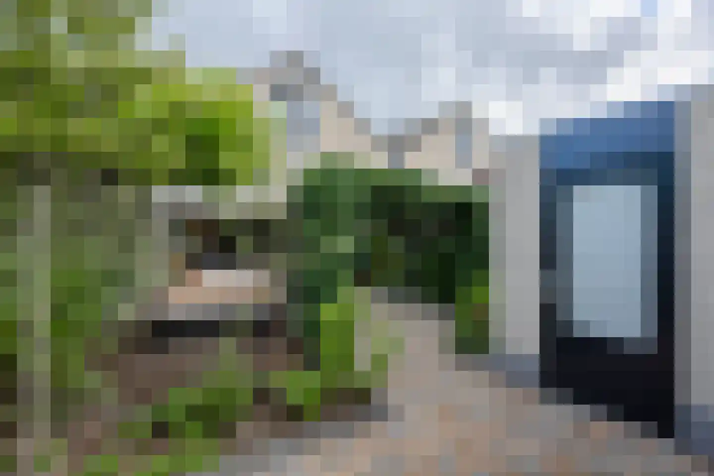 Ereprijs 14 Barneveld thumbnail 52