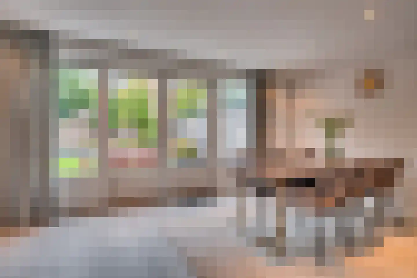 Ereprijs 15 Venlo thumbnail 11