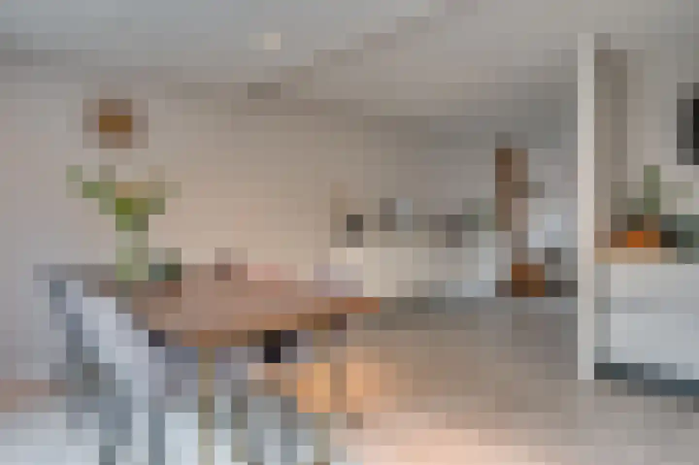 Ereprijs 15 Venlo thumbnail 17