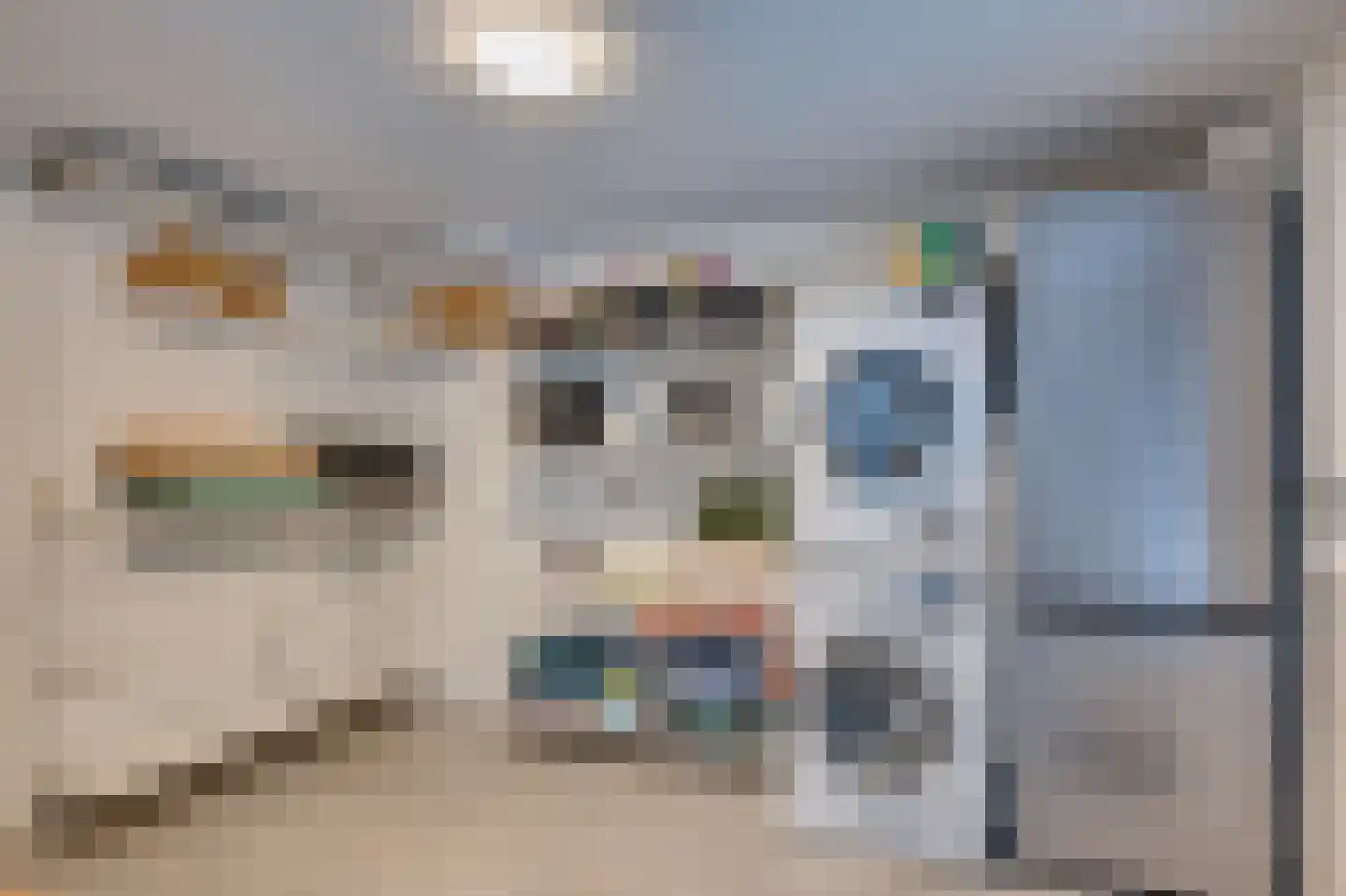 Ereprijs 15 Venlo thumbnail 19