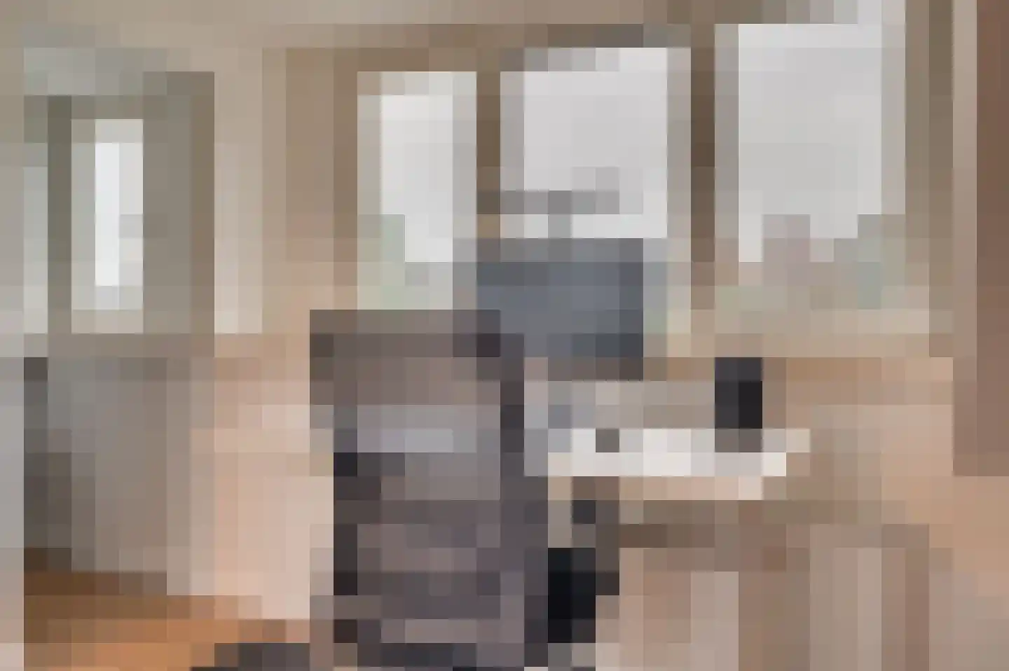 Ereprijs 15 Venlo thumbnail 36