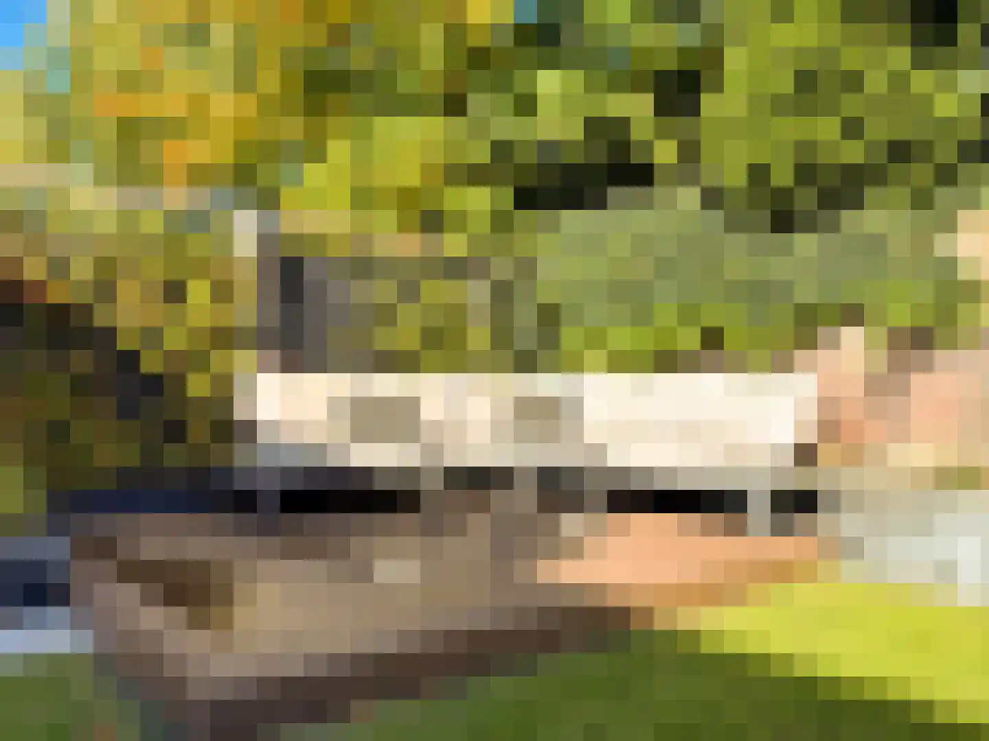 Ereprijs 15 Venlo thumbnail 42