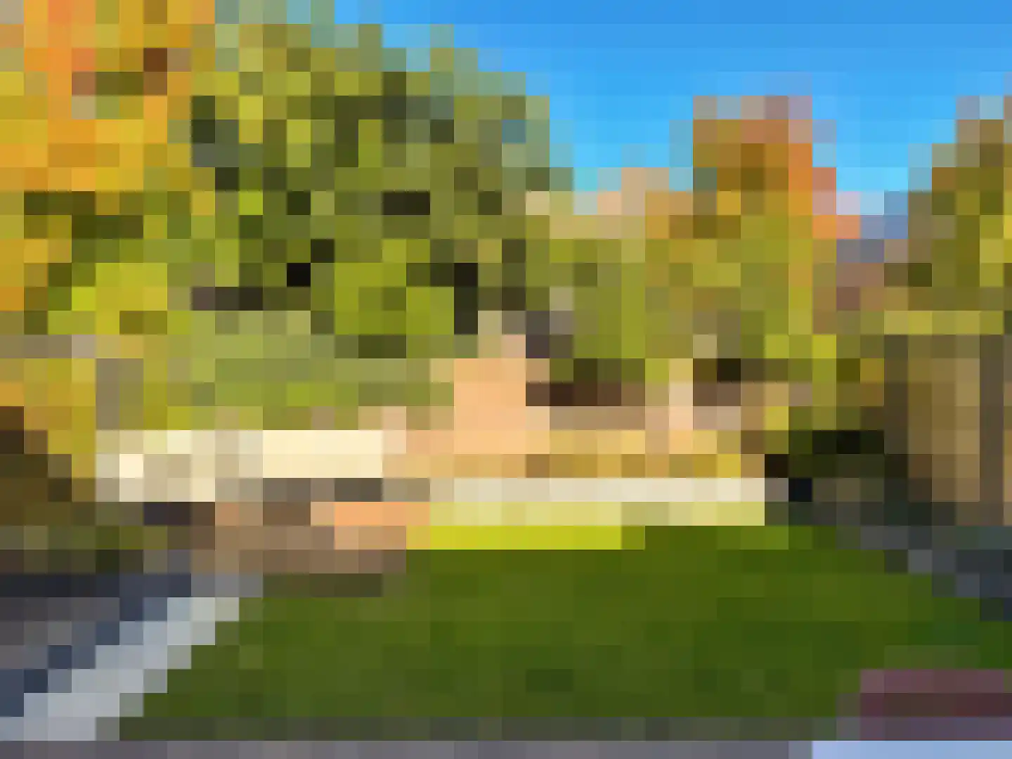 Ereprijs 15 Venlo thumbnail 43