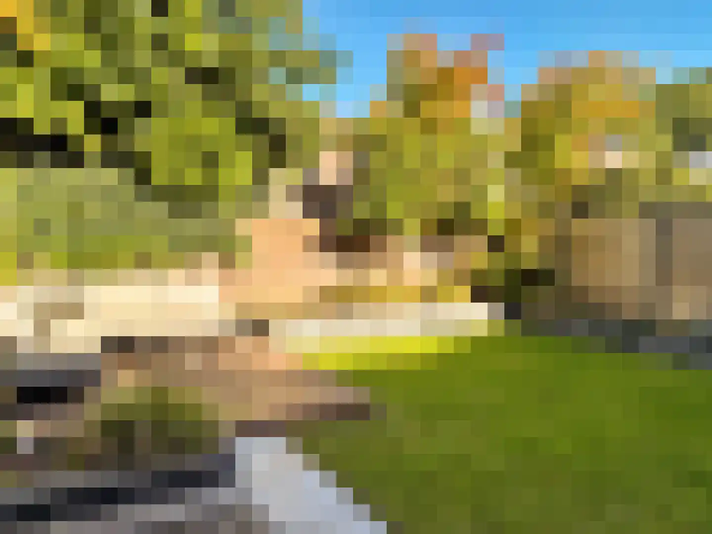 Ereprijs 15 Venlo thumbnail 44