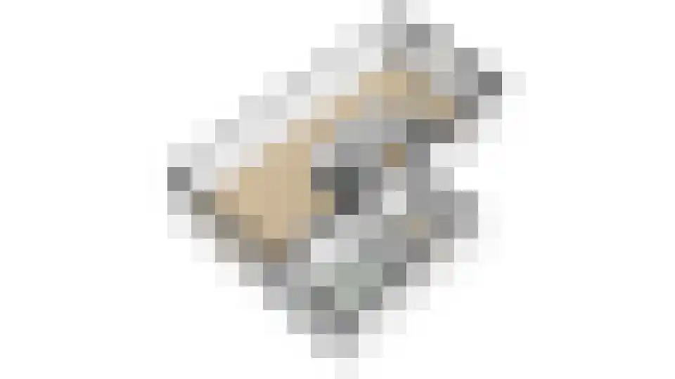 Ereprijs 15 Venlo thumbnail 52