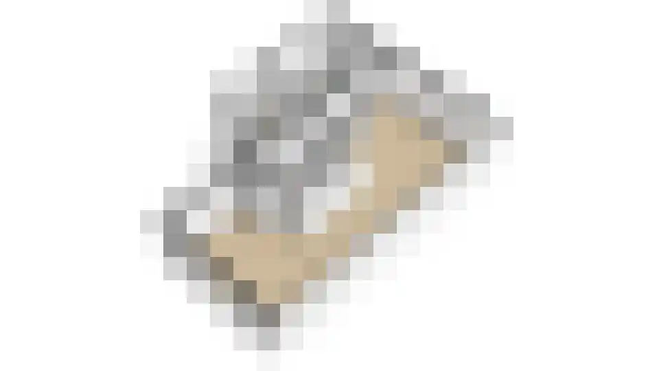 Ereprijs 15 Venlo thumbnail 53