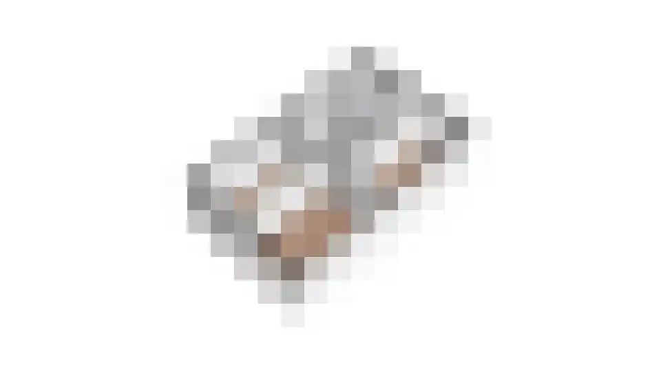 Ereprijs 15 Venlo thumbnail 56