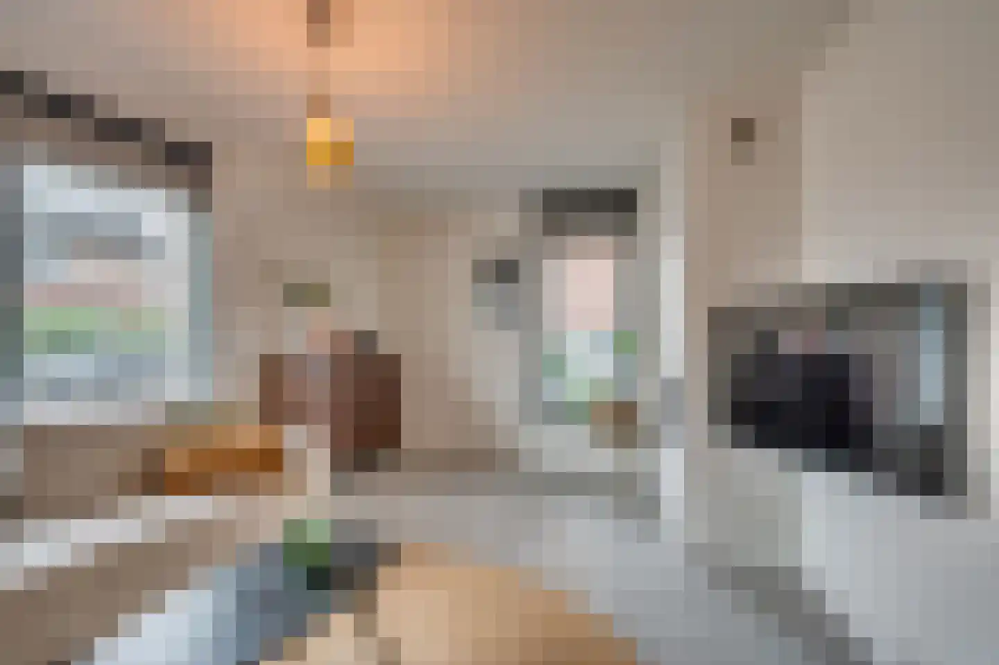 Ereprijs 15 Venlo thumbnail 8