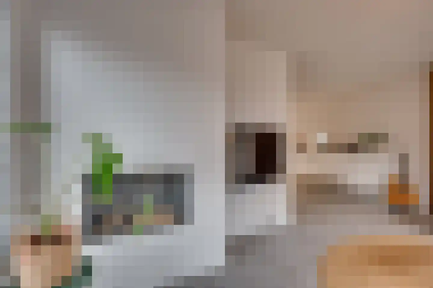 Ereprijs 15 Venlo thumbnail 9