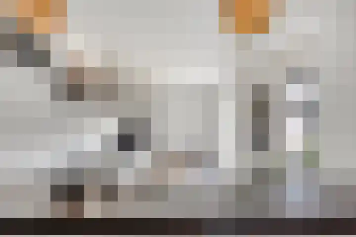 Ereprijs 16 Kampen thumbnail 13