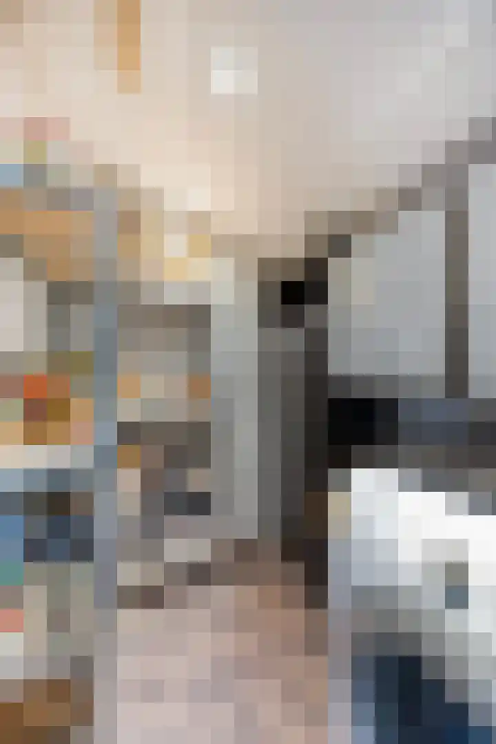 Ereprijs 16 Kampen thumbnail 18