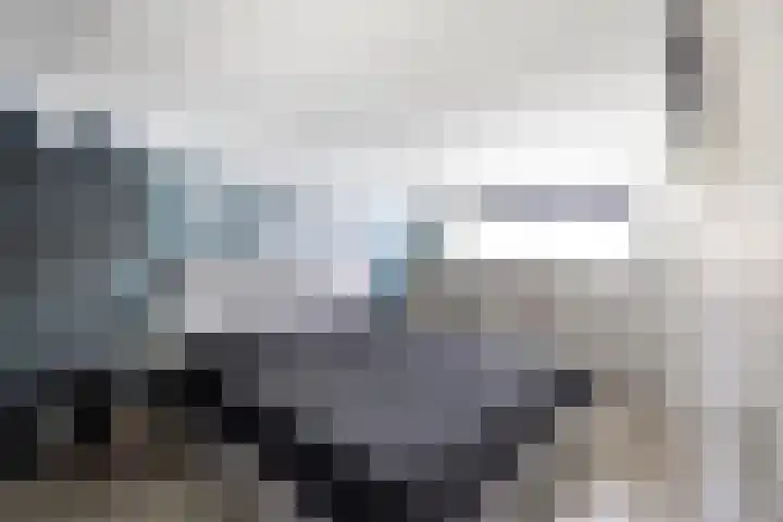 Ereprijs 16 Kampen thumbnail 21