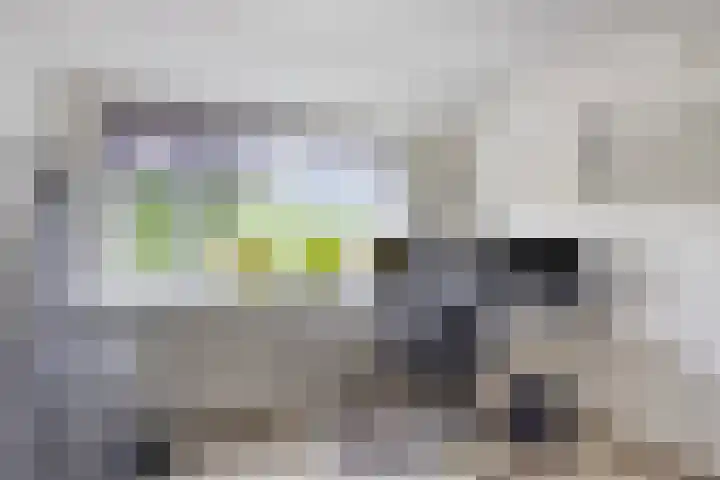 Ereprijs 16 Kampen thumbnail 26