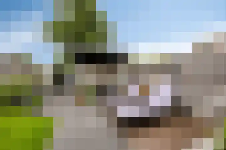 Ereprijs 16 Kampen thumbnail 32