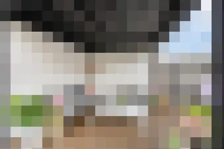 Ereprijs 16 Kampen thumbnail 33