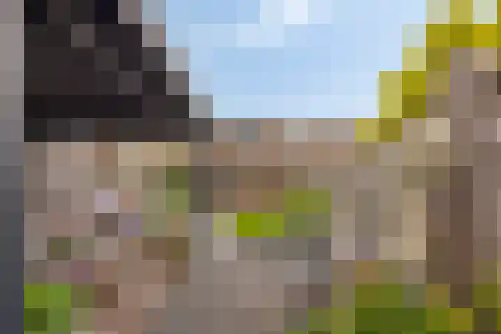 Ereprijs 16 Kampen thumbnail 34