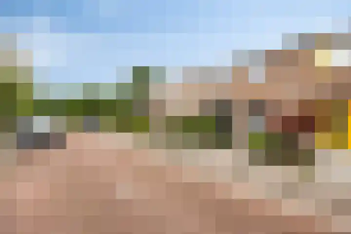 Ereprijs 16 Kampen thumbnail 36