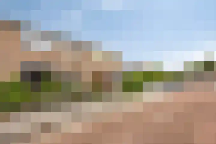 Ereprijs 16 Kampen thumbnail 37