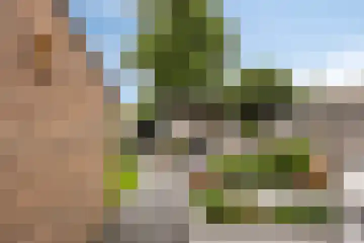 Ereprijs 16 Kampen thumbnail 4