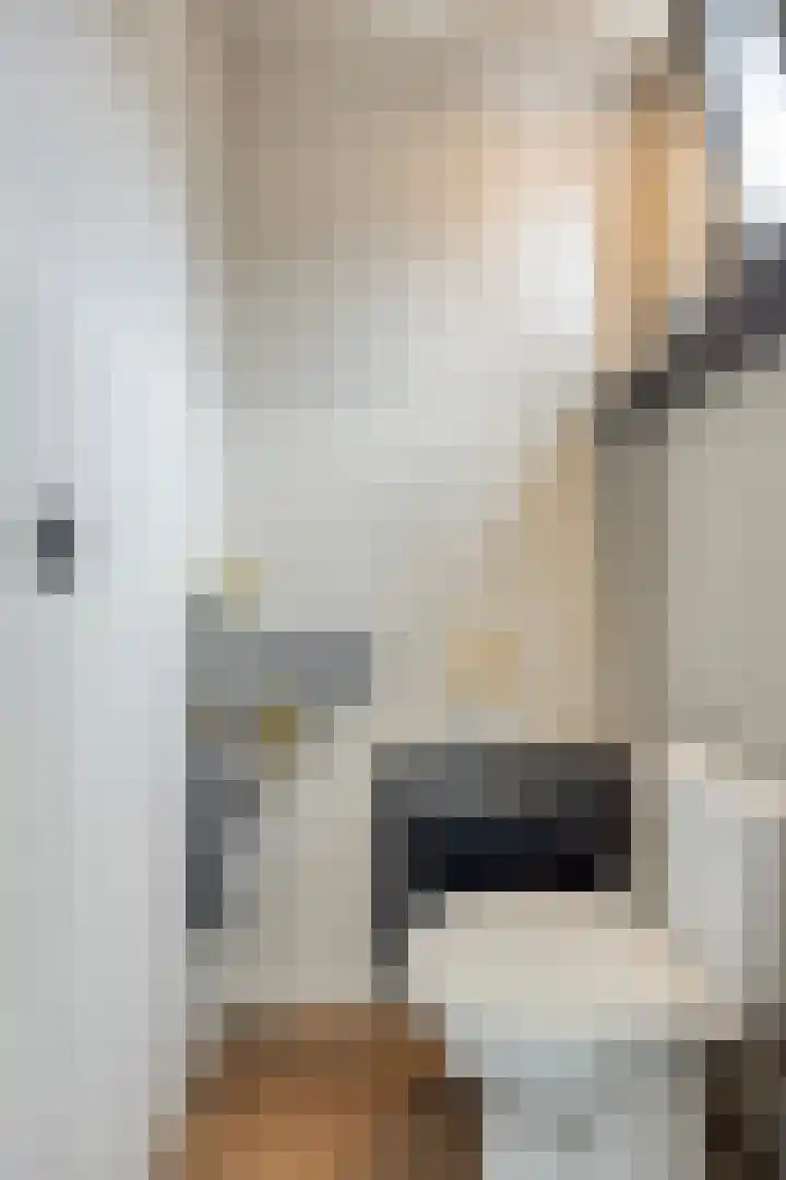 Ereprijs 16 Kampen thumbnail 6
