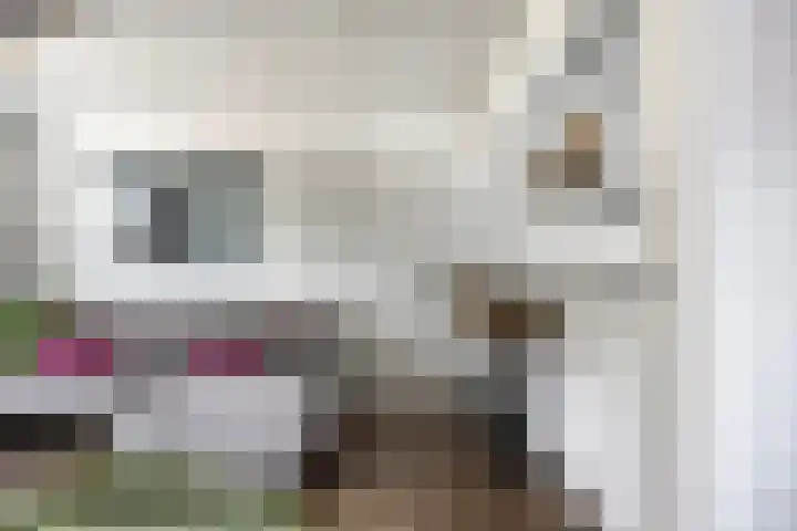 Ereprijs 16 Kampen thumbnail 8