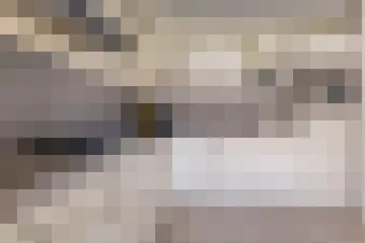 Ereprijs 17 Heerenveen thumbnail 14