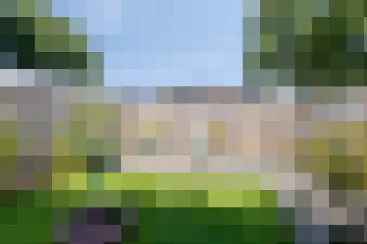 Ereprijs 17 Heerenveen thumbnail 25