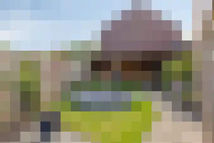 Ereprijs 17 Heerenveen thumbnail 26