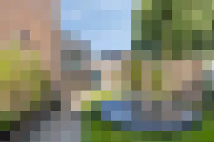 Ereprijs 17 Heerenveen thumbnail 27